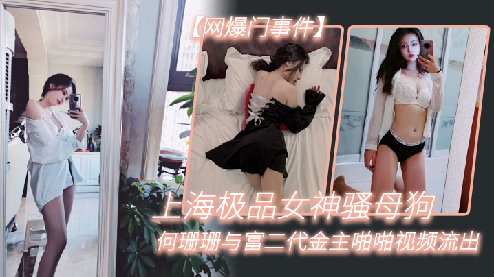 【网爆门事件】上海极品女神骚母狗何珊珊与富二代金主啪啪视频流出